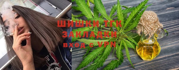 индика Грязи
